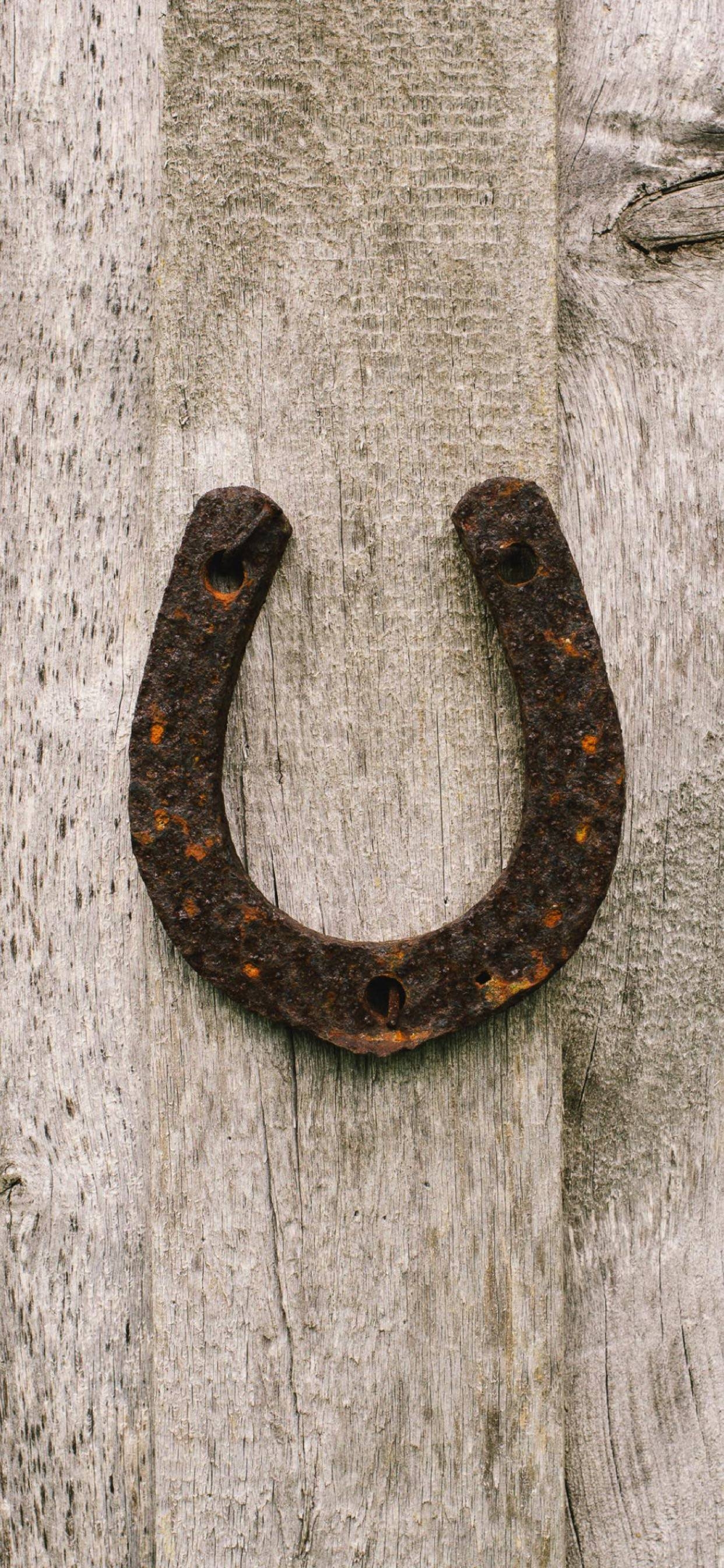 1242x2688  Подкова обои на телефон - 43 фото