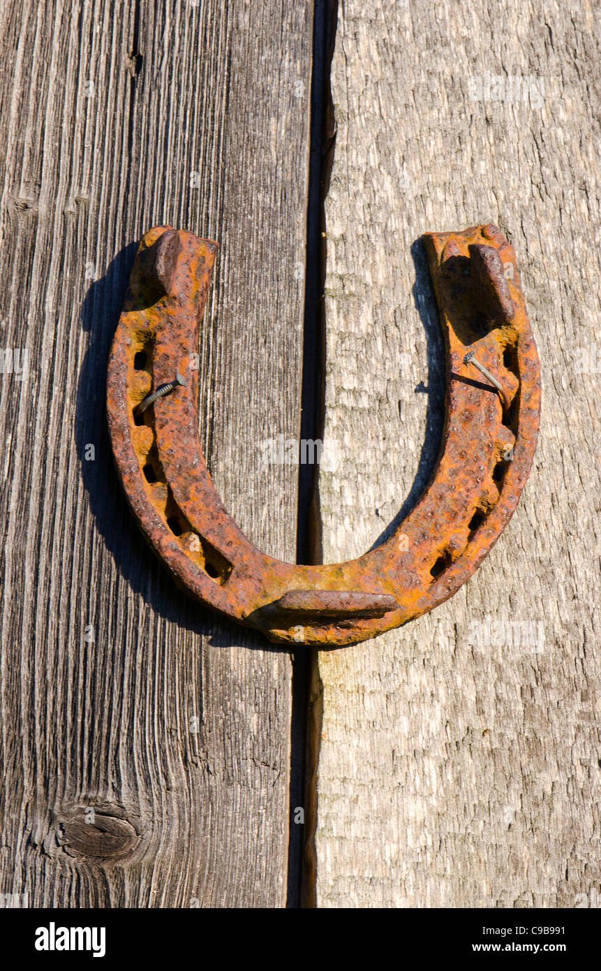 861x1390  Подкова фото картинки - 64 фото