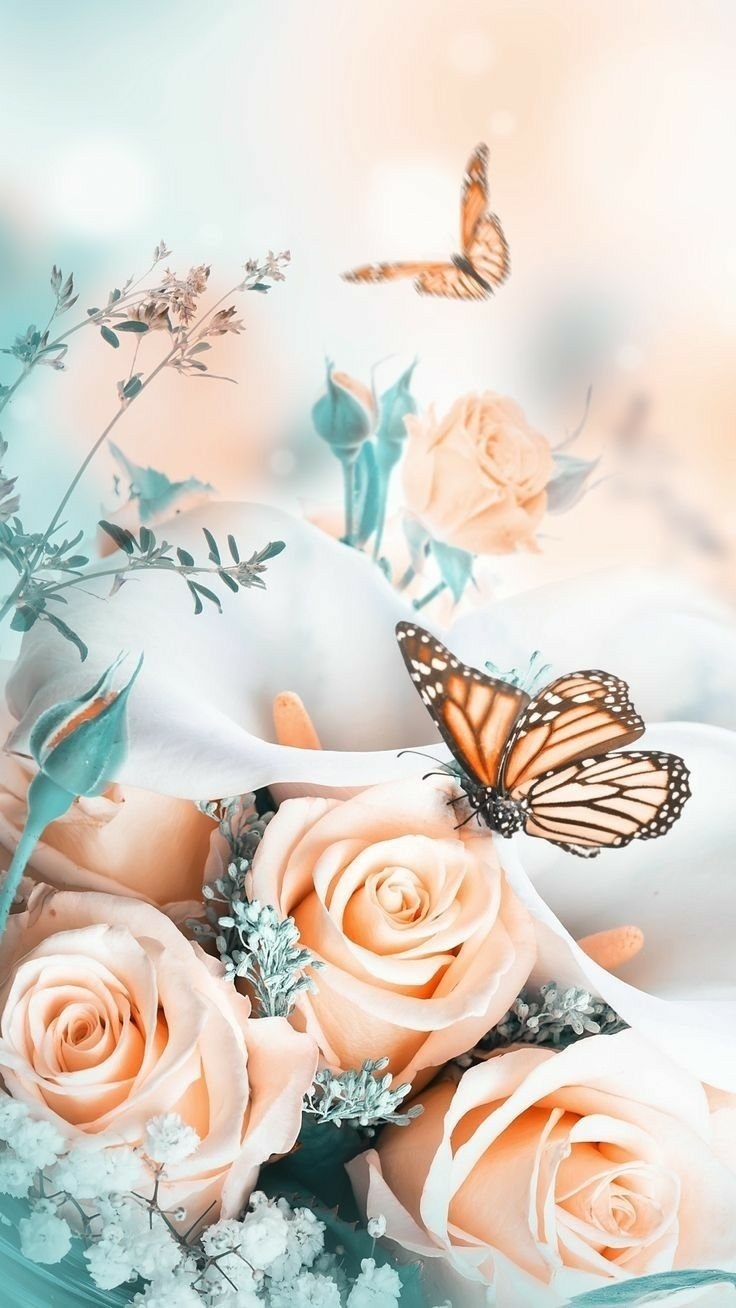 736x1308  Обои на телефон нежность - 62 фото