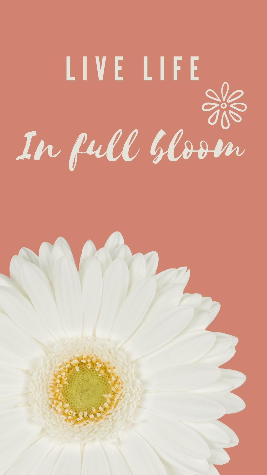 1080x1920  Обои для телефона - Holstein Flowers gerbera