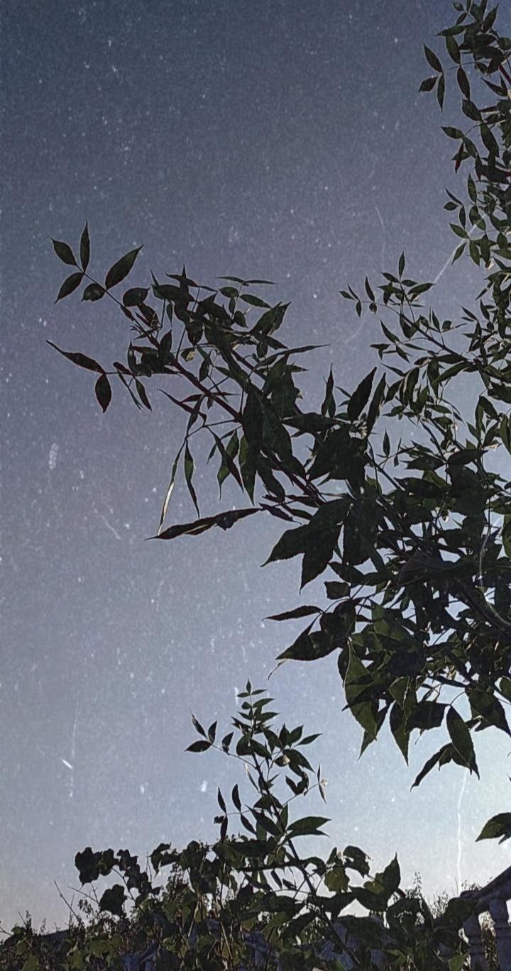 720x1369  Неэстетичная эстетика | Пейзажи, Летний пейзаж, Абстрактные фотографии