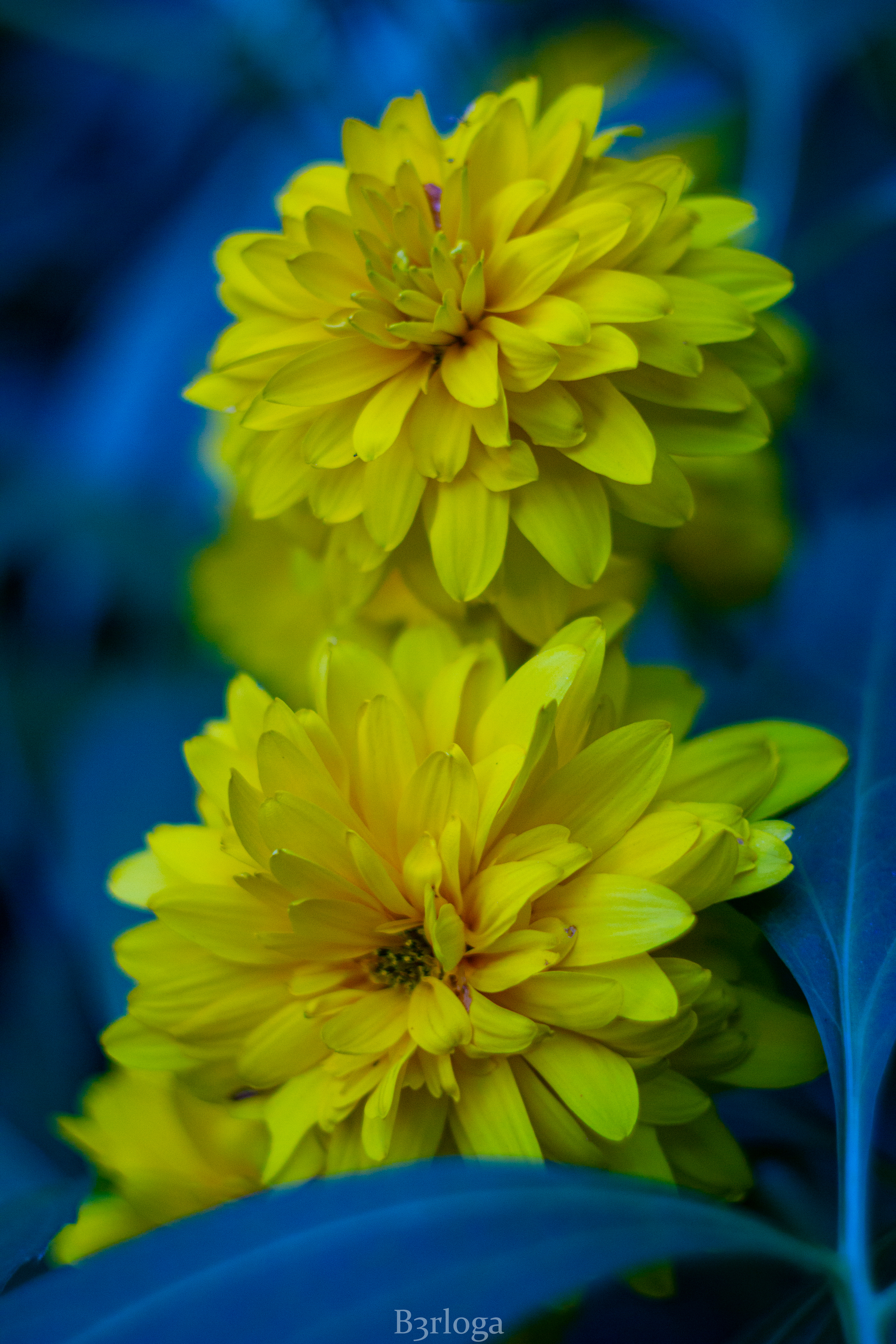 2048x3072  Обои на телефон | Пикабу