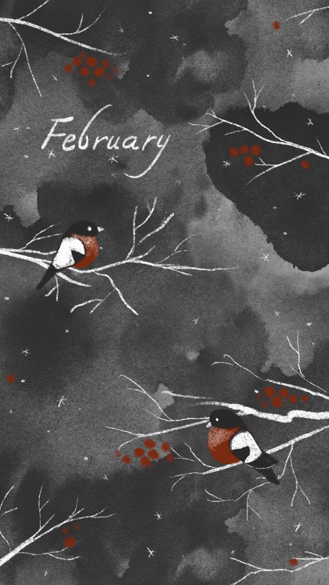 Обои для телефона, снегири | Иллюстрации, Обои, Снегирь