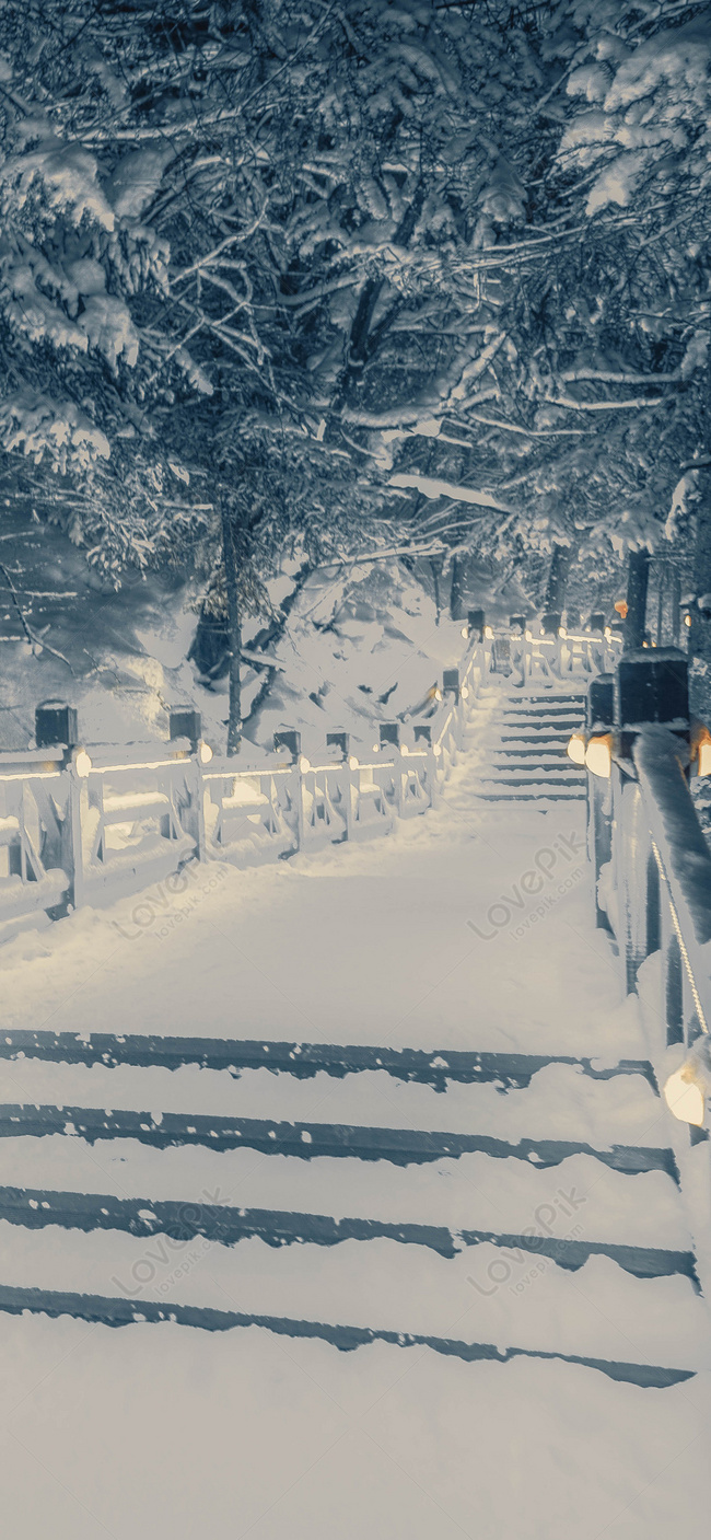 650x1407  Лесные снежные сцены обои для рабочего стола изображение_Фото номер  400790844_JPG Формат изображения_ru.lovepik.com