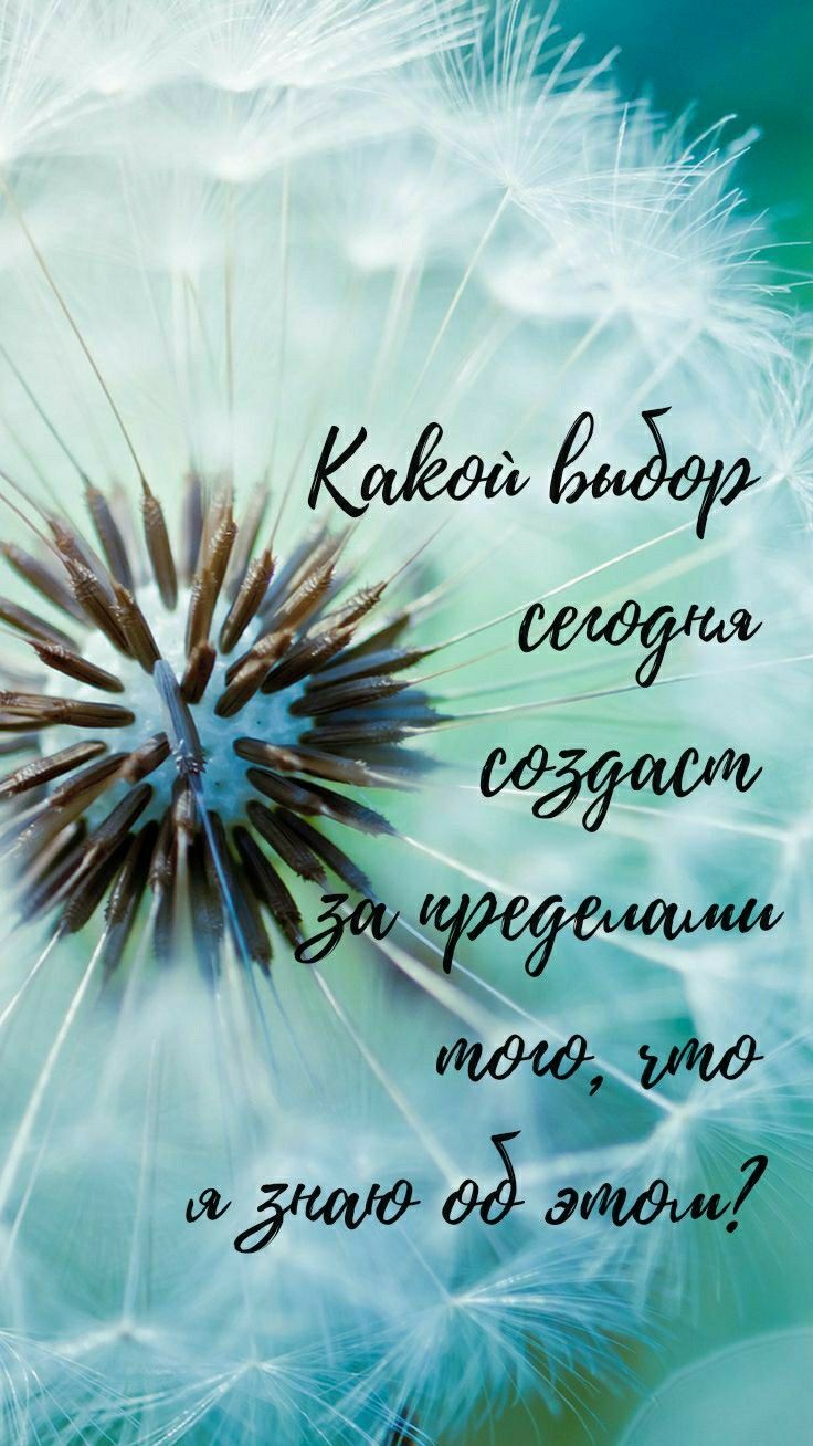 736x1308  Аксесс, вопросы аксесс | Вдохновляющие высказывания, Вдохновляющие цитаты,  Фотографии для обложки