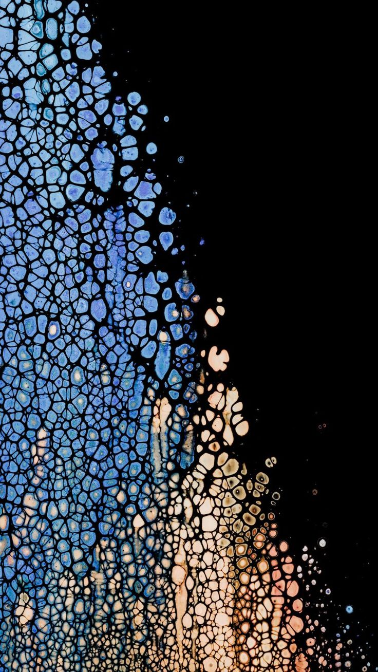 736x1308  10 крутых обоев для смартфонов с OLED-дисплеями | Обои, Яблоко обои,  Абстрактное