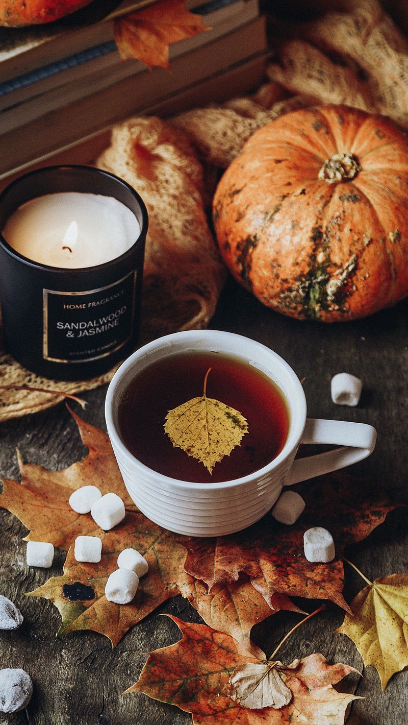 800x1420  Скачать 800x1420 чай, чашка, свеча, осень, листья, уют обои, картинки  iphone se/5s/5c/5 for parallax