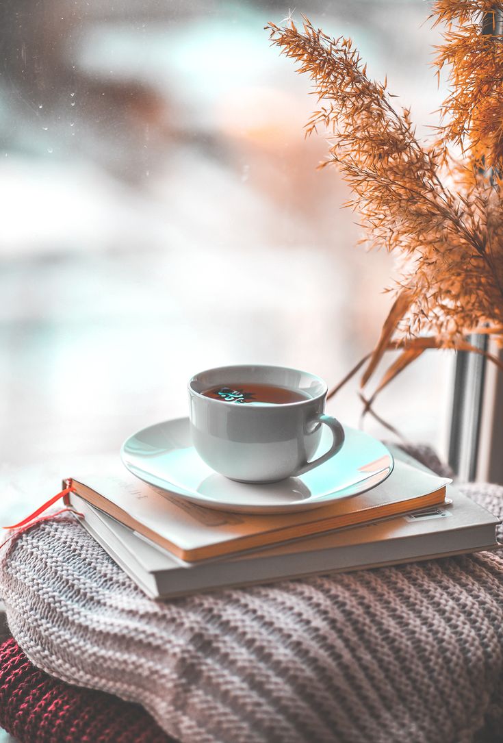 735x1085  Чашка чая у окна, чай, tea, окно, осень | Tea and books, Coffee and books,  Rain and coffee