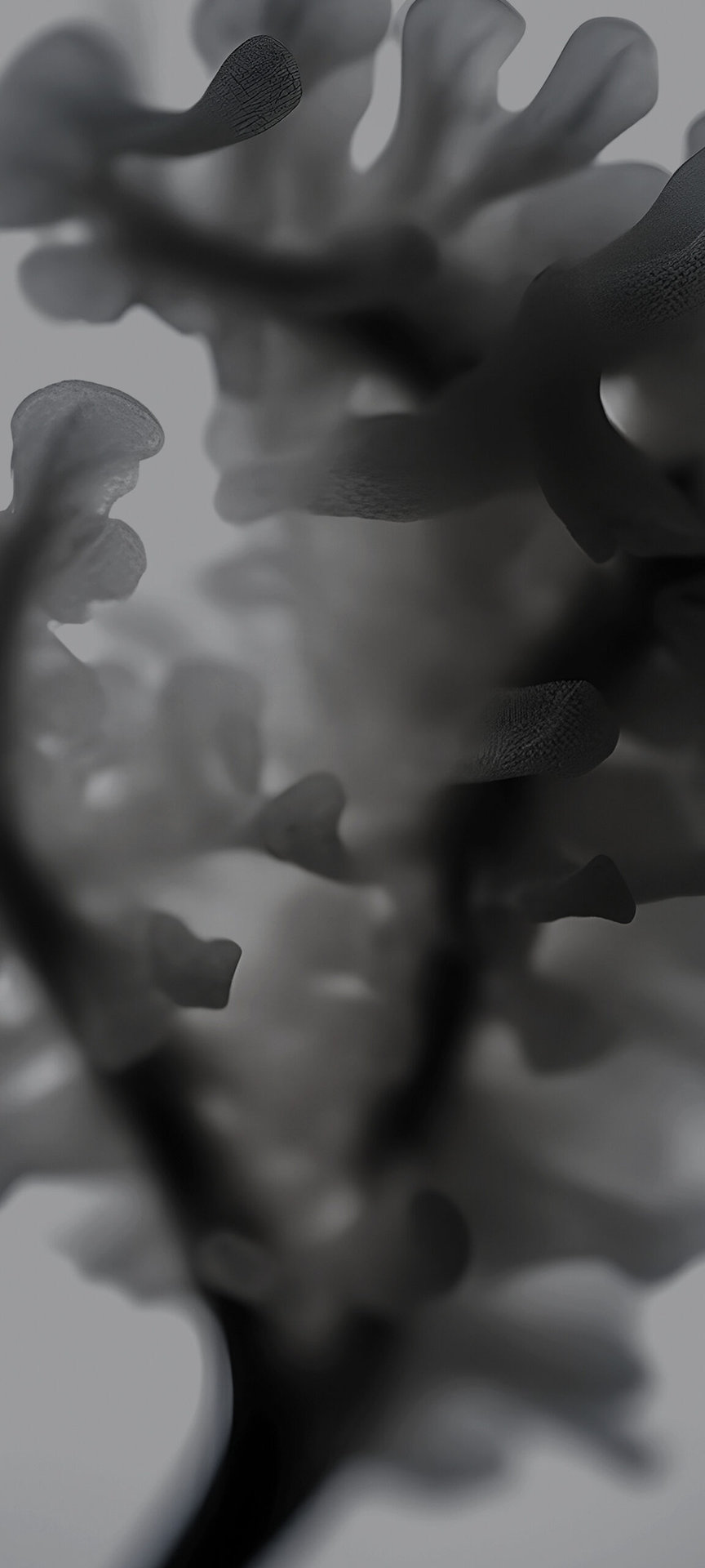 864x1920  Бесплатные HD обои «Пинг! 2» | Эксил | Дом