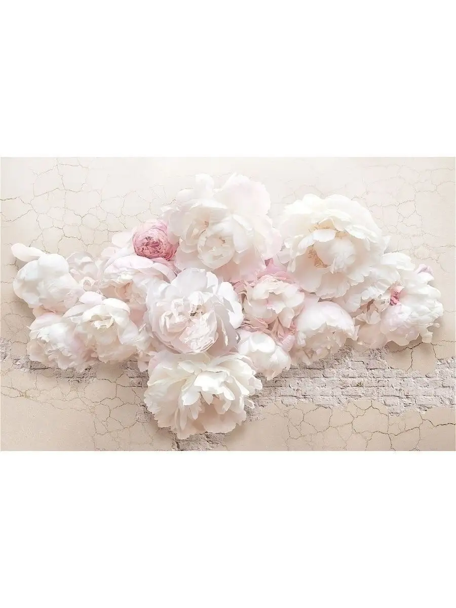 900x1200  Топ Фотообои Обои флизелиновые на стену в гостиную 3д цветы пионы