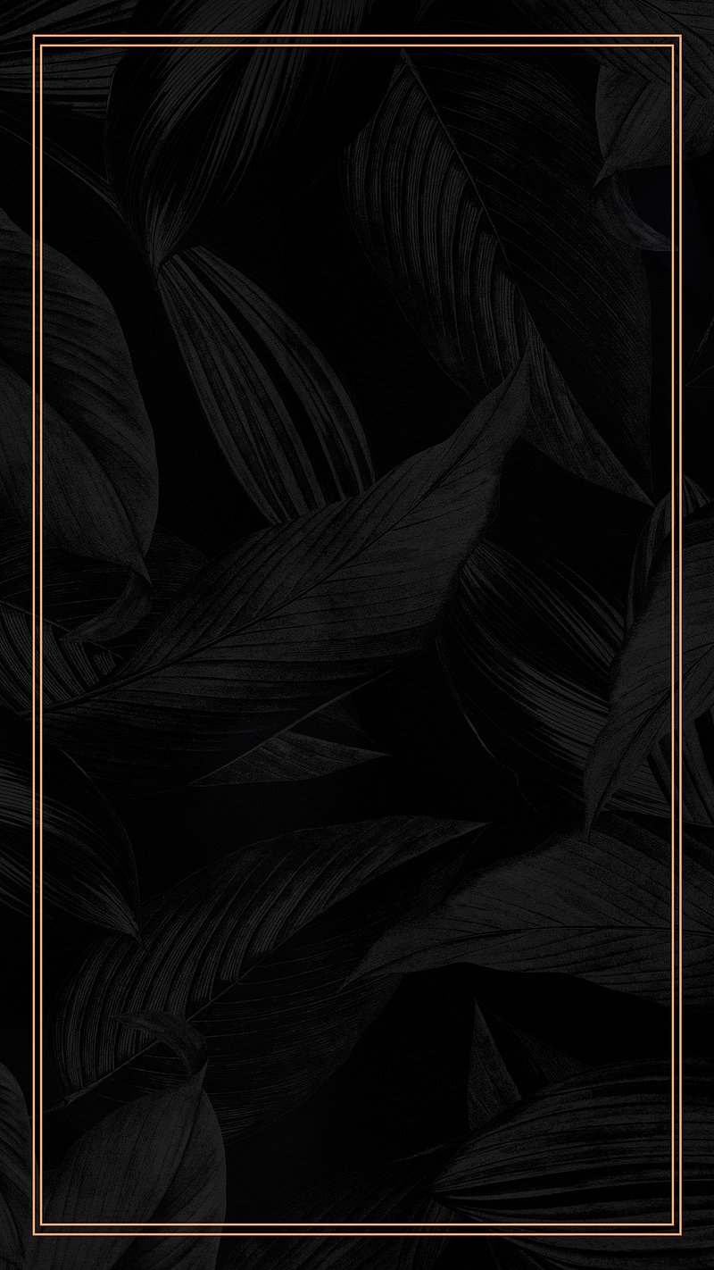 800x1422  750+ темных изображений Iphone | Загрузите бесплатные изображения на Unsplash