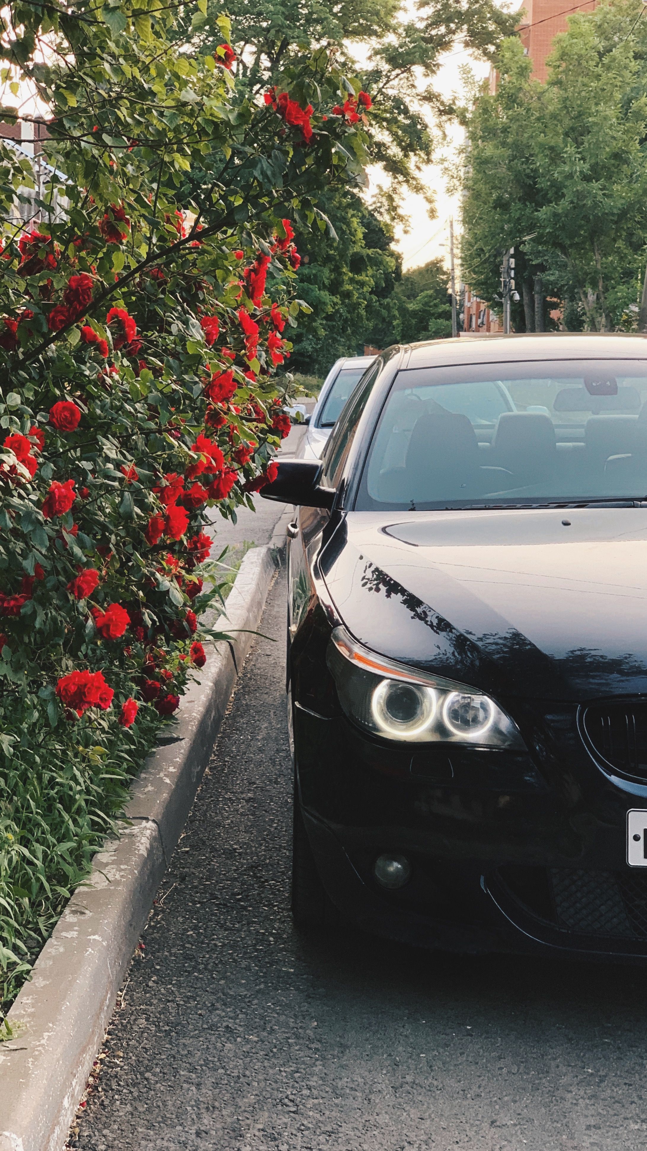 2183x3881  BMW e60 | Бмв x6, Bmw 5 серии, Серии бмв