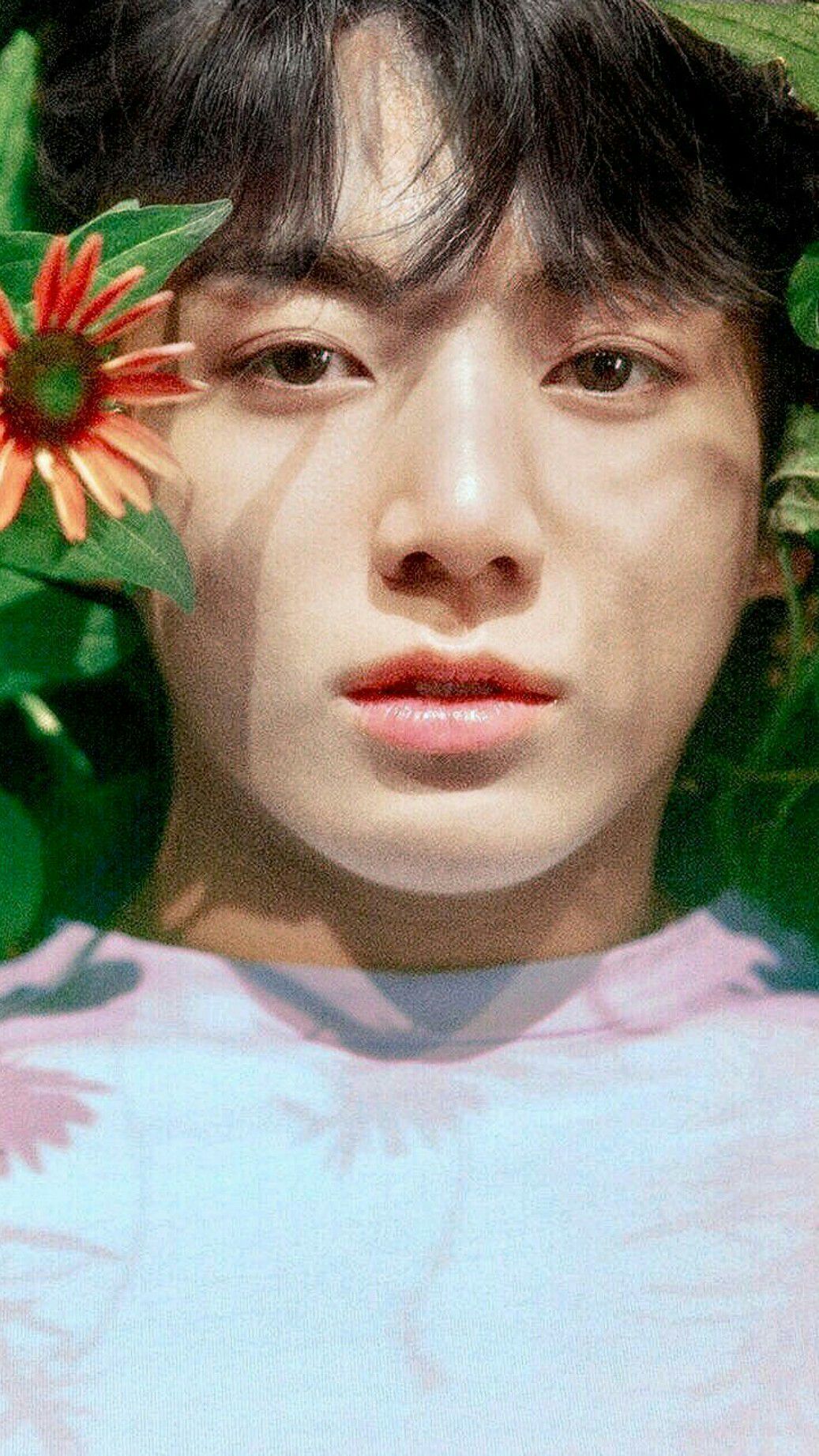 1037x1842  Обои для телефона BTS/ wallpaper BTS - Jungkook🐇 - Wattpad