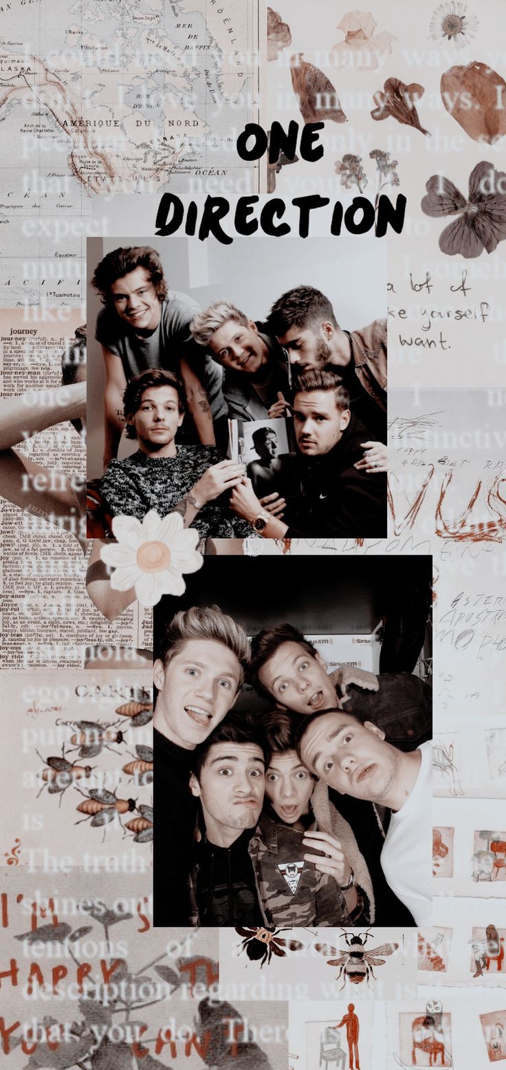 736x1555  Обои One Direction Aesthetic - Wallpaper Cave
