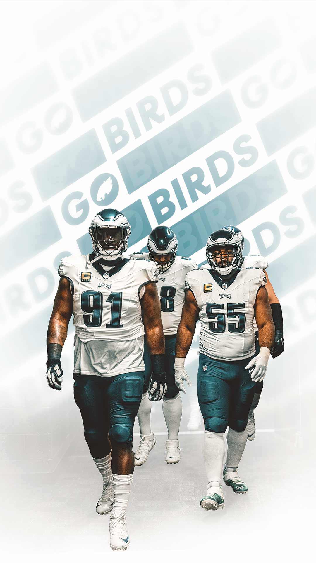 1080x1920  Скачать обои Санта-Круз, Калифорния, вид с воздуха | Обои.com