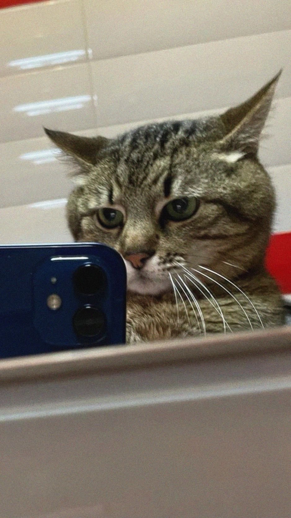 938x1668  обои на телефон | Автопортреты, Фотографии автопортрета, Фотографии профиля