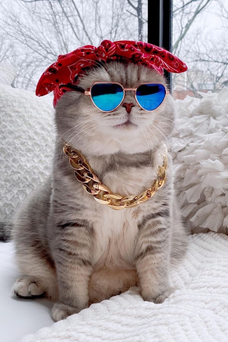 736x1104  10 красивых обоев с девушками для iPhone