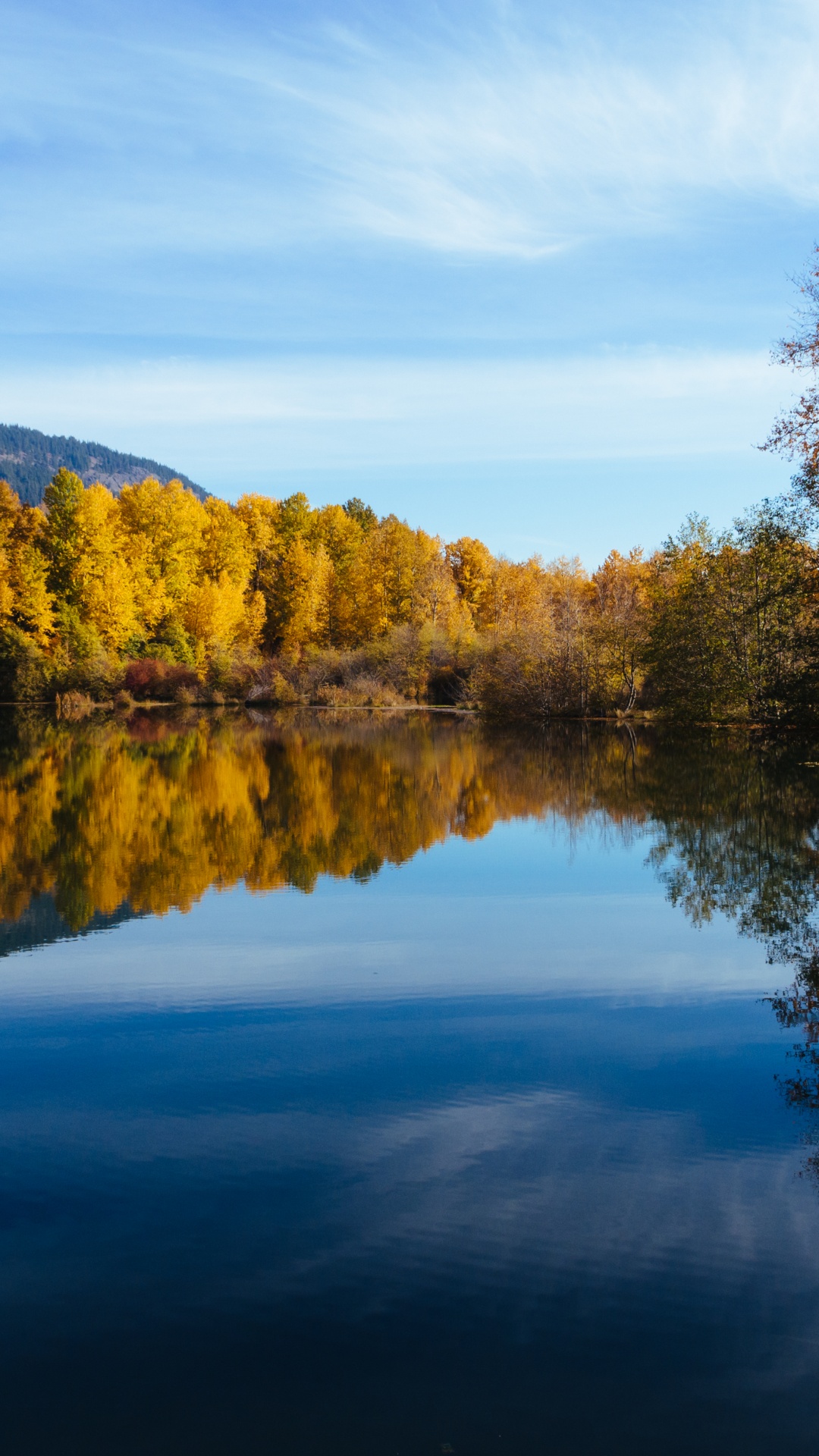 1080x1920  Обои отражение, река чумыш, природа, реки, Республика Алтай на телефон  Android, 1080x1920 картинки и фото бесплатно