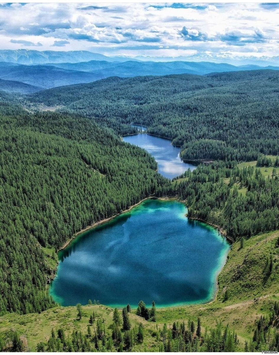 Улаганское плато горный Алтай