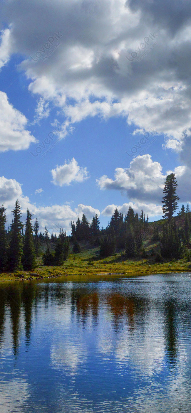 650x1407  Обои из нейросети для смартфонов с соотношением сторон 9:21 | Пикабу