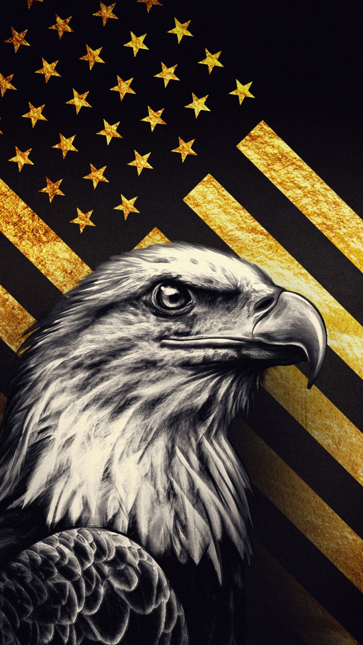 720x1280  Флаг Соединенных Штатов обои для телефона, HD заставки и картинки на экран  блокировки 720x1280 | Akspic