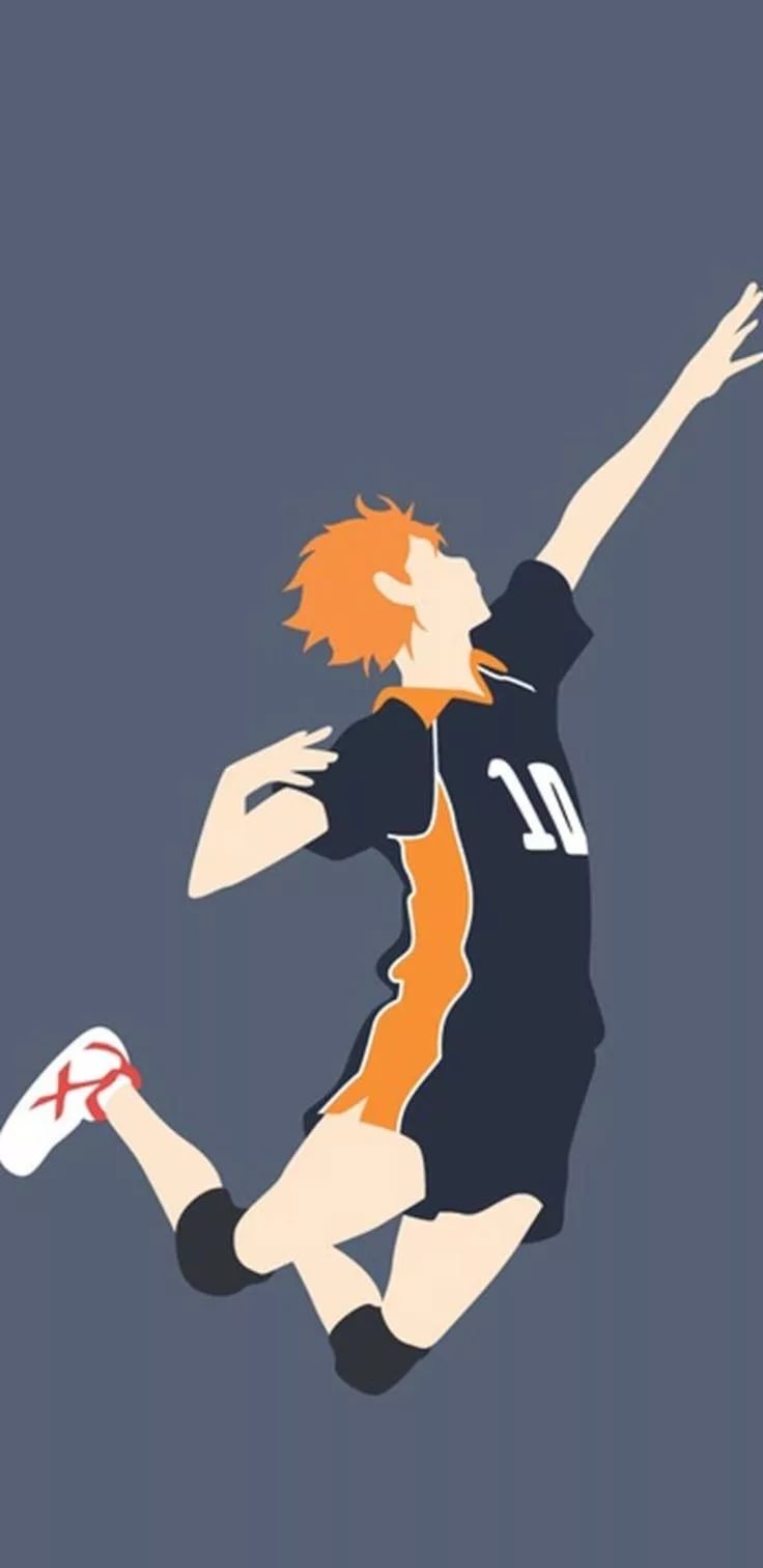 736x1511  Волейбол обои на телефон - 65 фото