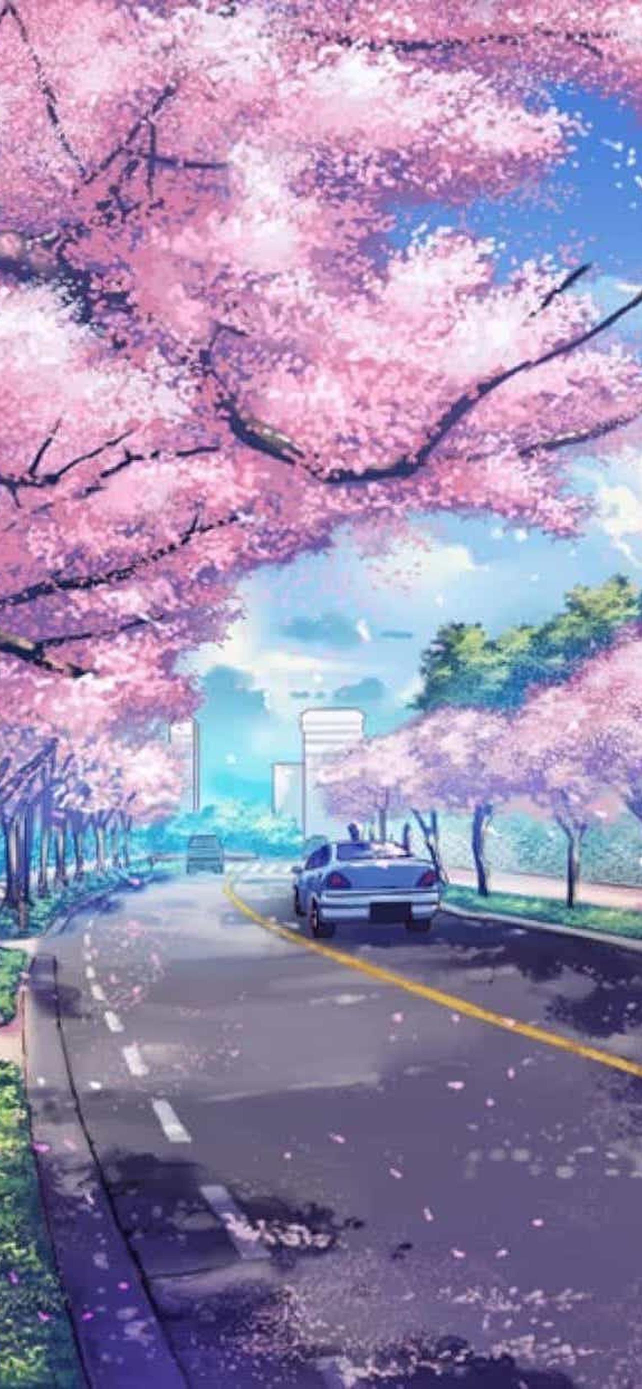 1284x2778  Анимированные 240x320 обои на телефон [1+ изображений]