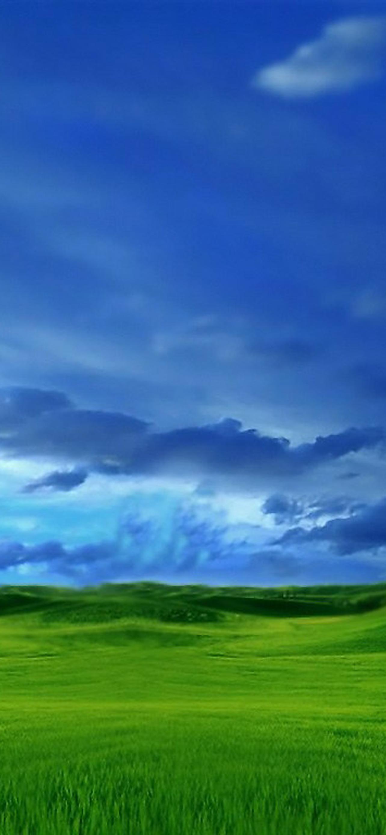 1284x2778  240 на 320 обои на телефон [32+ изображений]