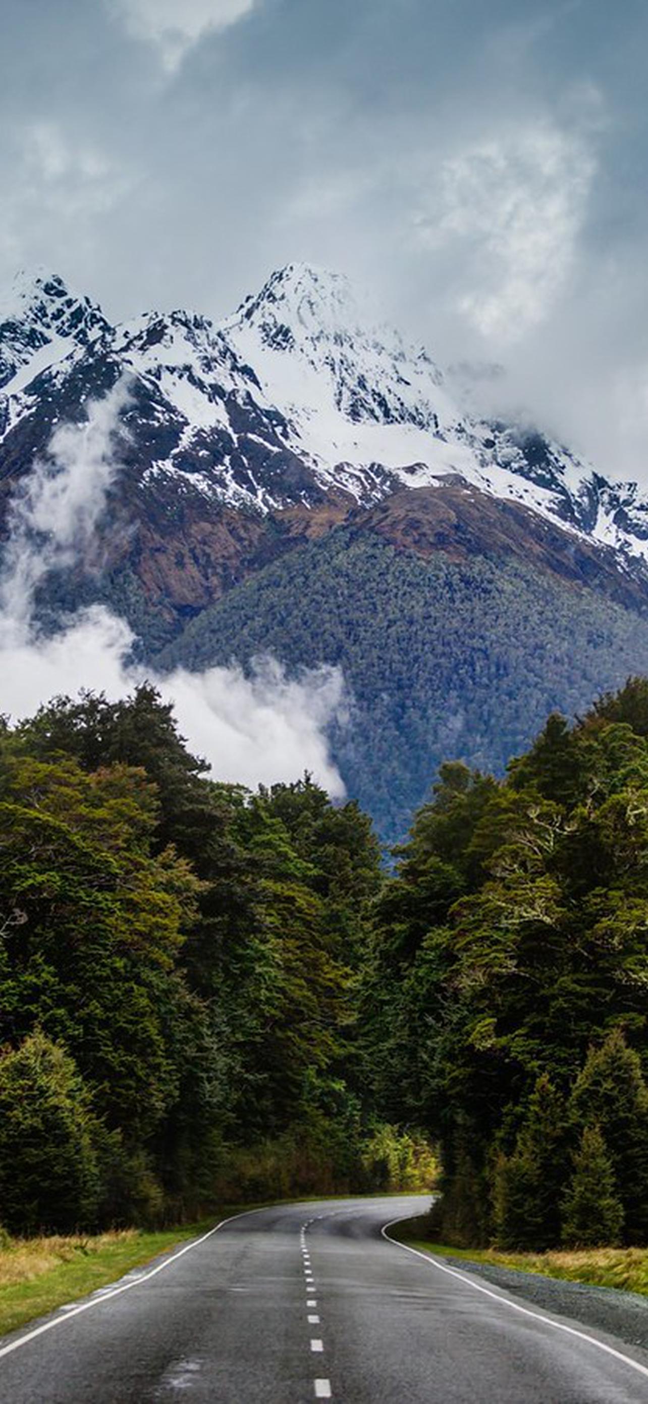 1284x2778  240 на 320 обои на телефон [32+ изображений]