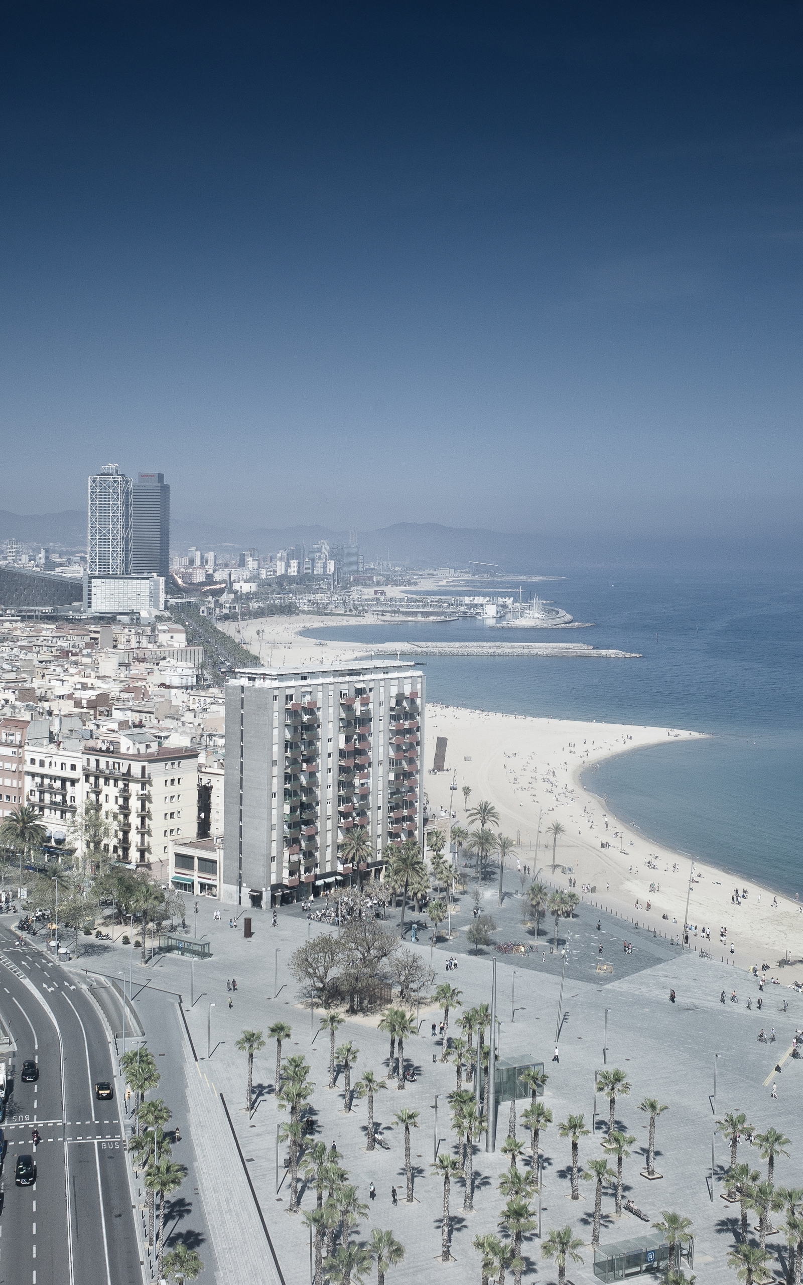 1600x2560  Обои на айфон футбольный клуб барселона (50 фото) » Фоны и обои для  рабочего стола. Картинки для заставки на телефон