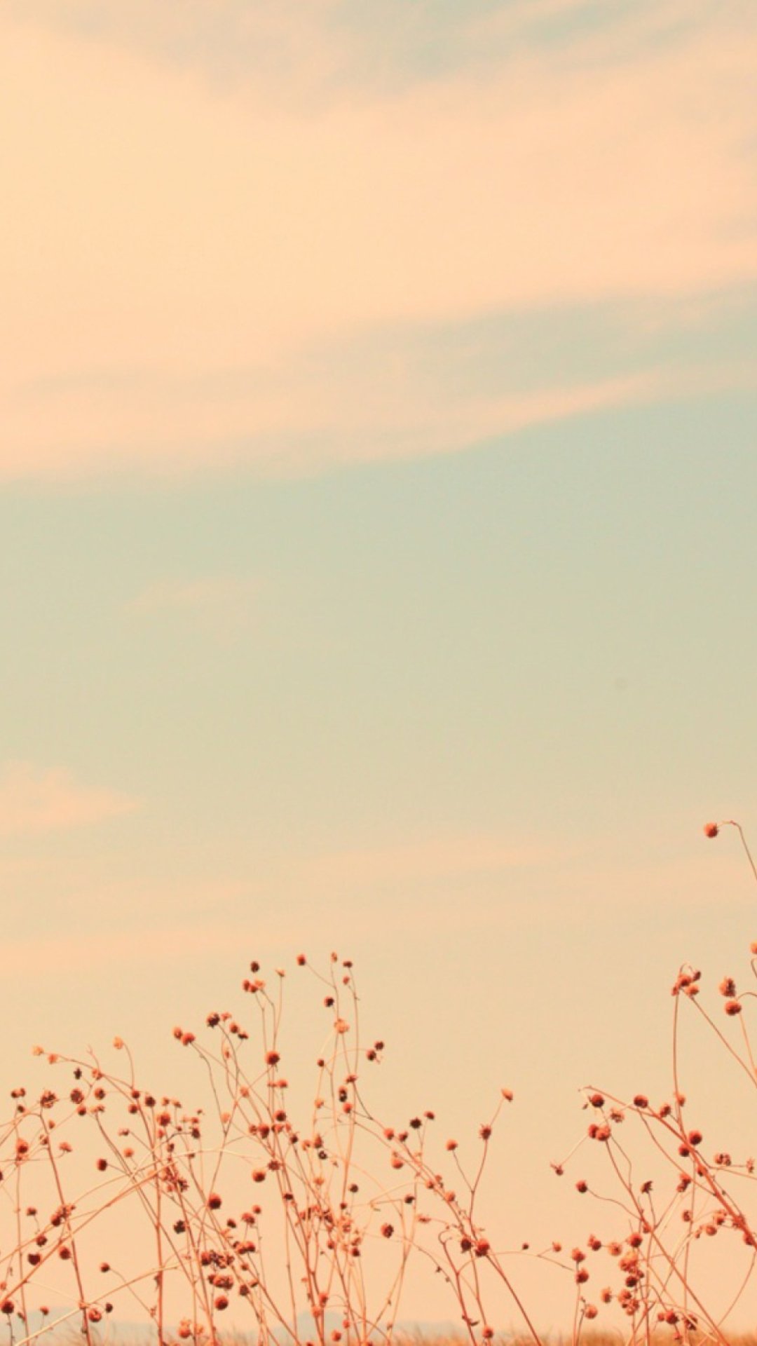 1080x1920  Бежевые обои на телефон - 72 фото