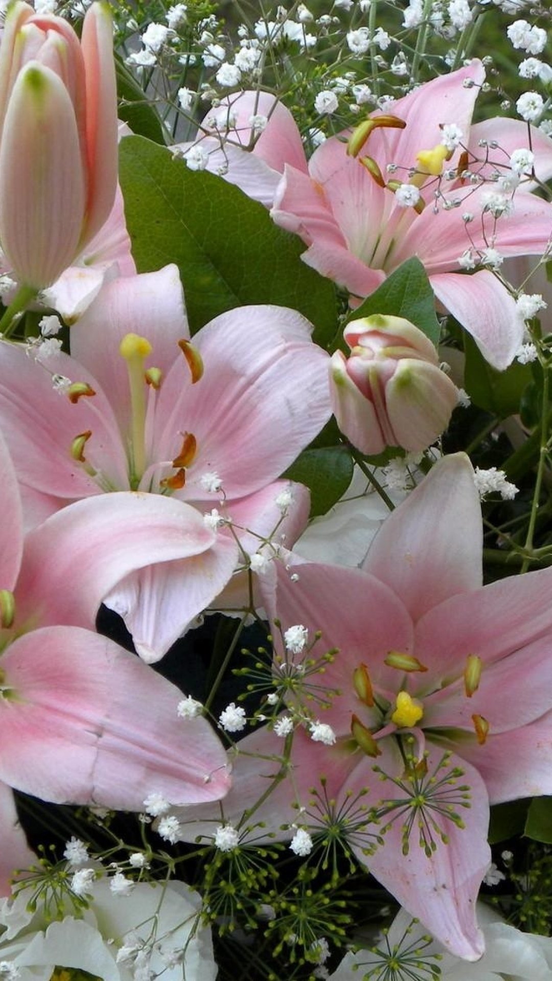 1080x1920  Лилии картинки на телефон - 67 фото