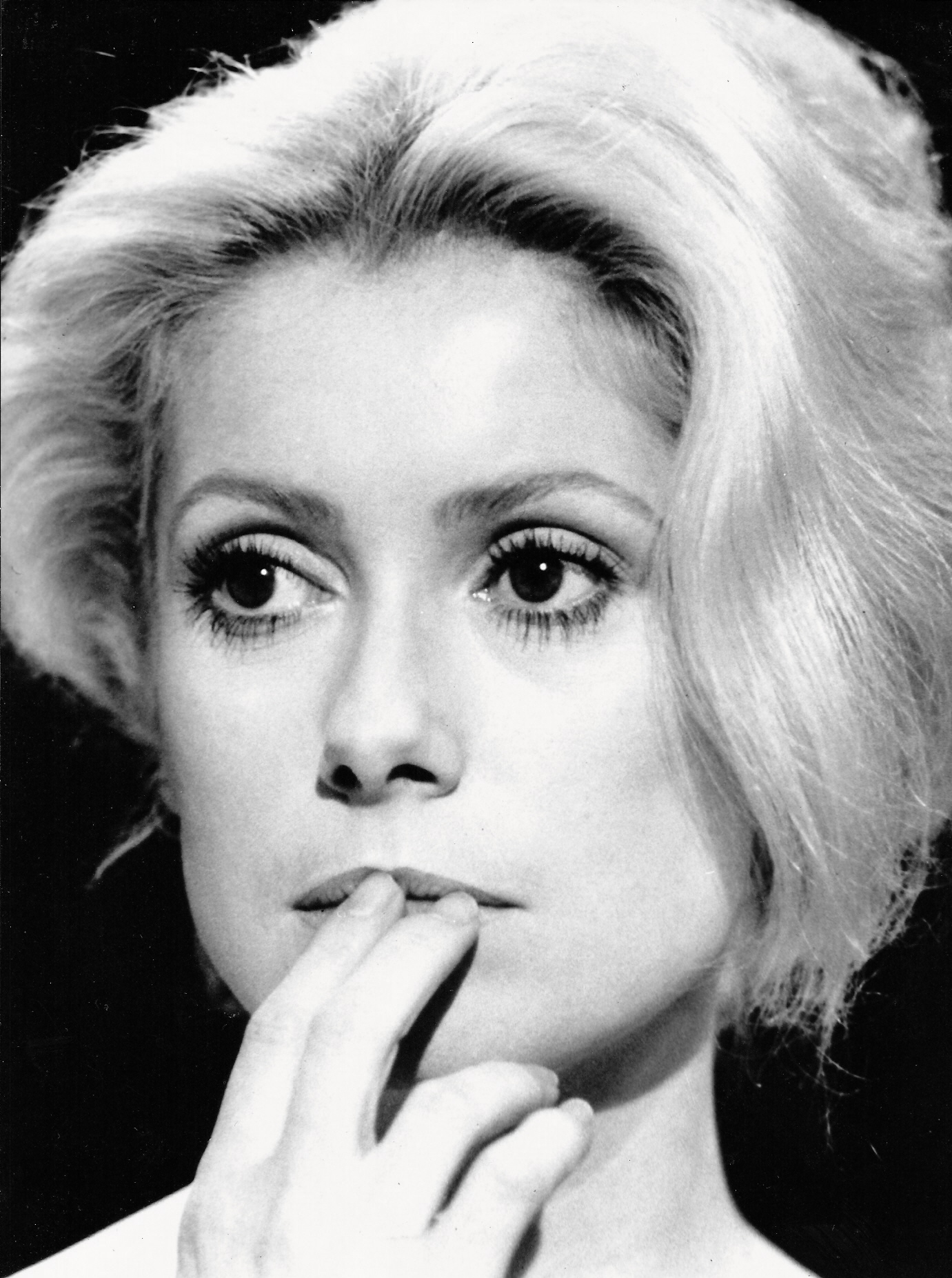 1381x1853   Скачать обои Скачать 2560x1920 женщины в очках монохромные катрин денев серые девушки в очках Разное HD Wallpape