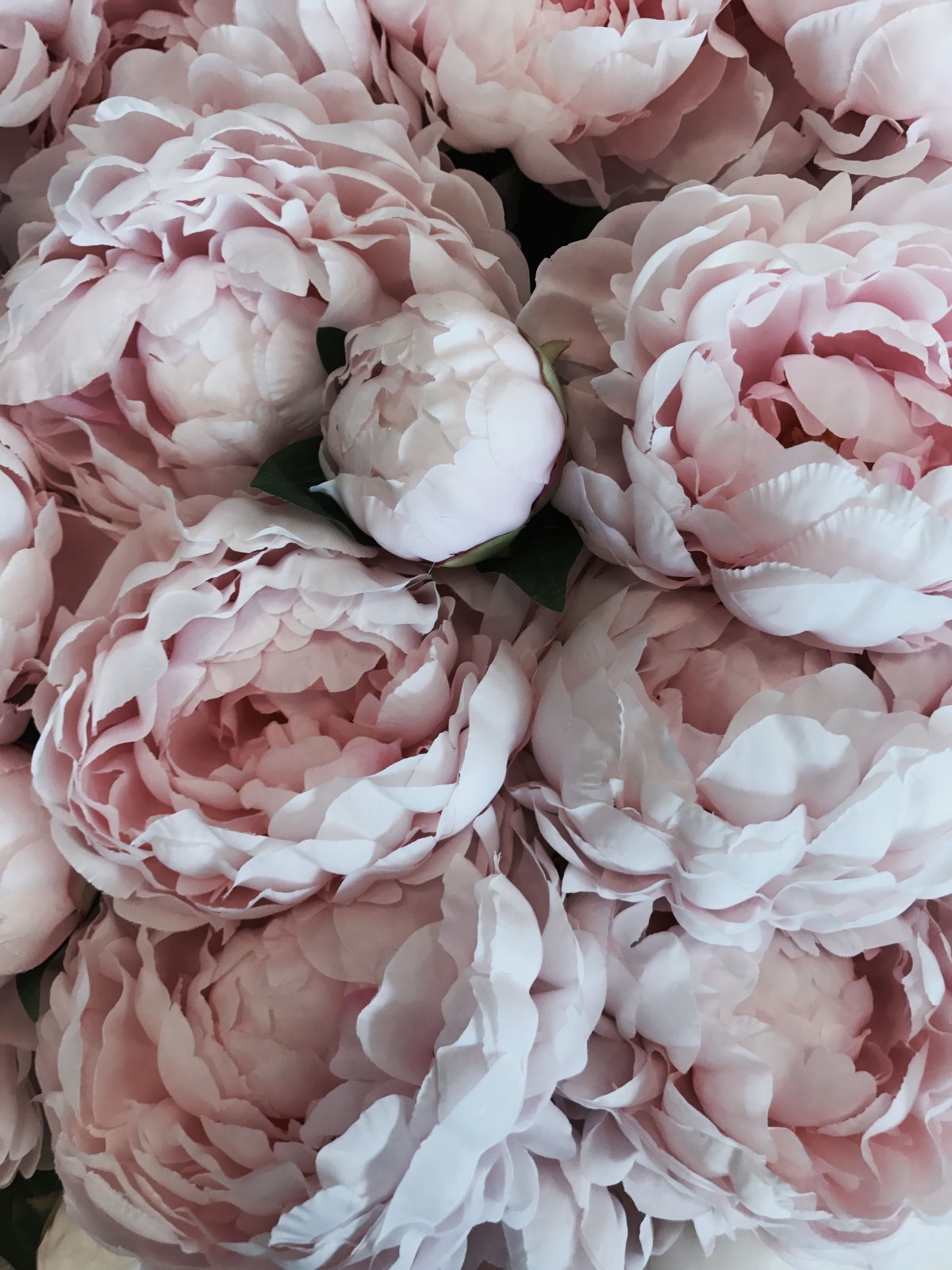 1200x1600  Обои на айфон пионы высокого качества вертикальные (49 фото) » Фоны и обои  для рабочего стола. Картинки для заставки на телефон