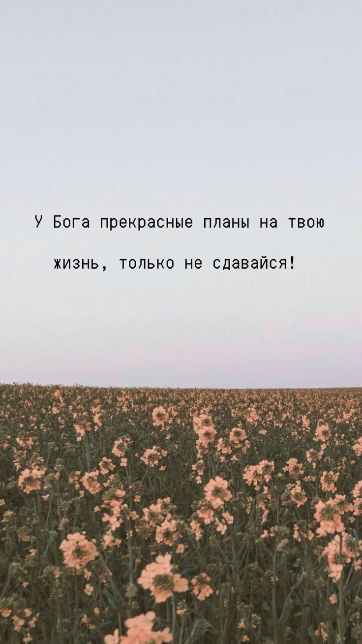 736x1308  обоинателефон #христиане #христианскиецитаты #христианскиеобоинателефон  #Богестьлюбовь #wallpaper … | Христианские цитаты, Поддерживающие цитаты,  Библейские цитаты