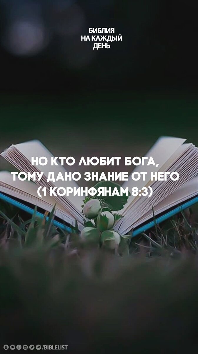 673x1200  Обои для вашего телефона #ОбоиБНКД | Библия на каждый день | Дзен