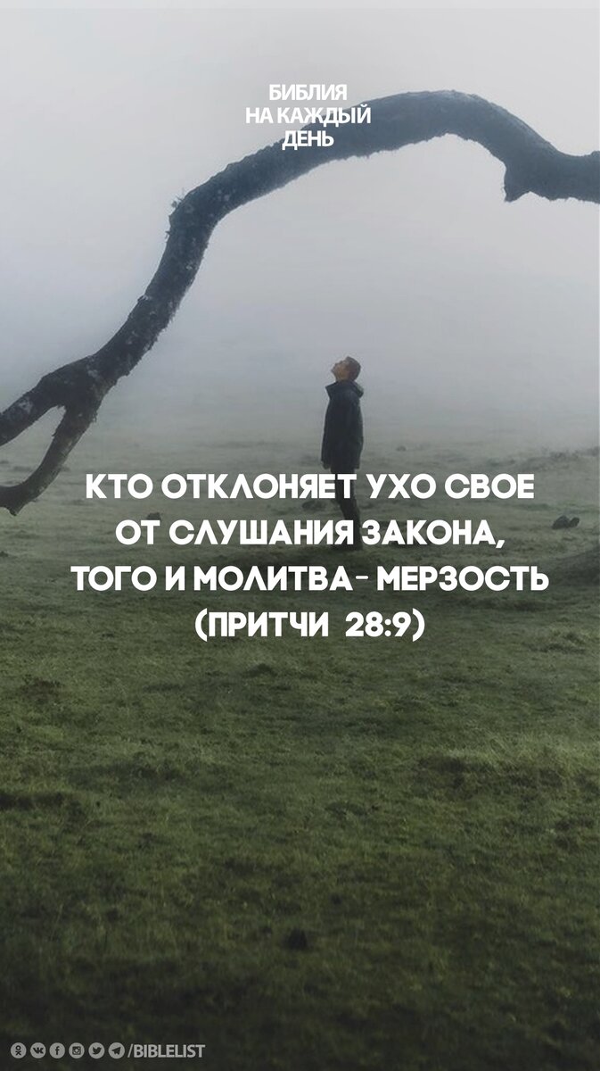 673x1200  Обои для вашего телефона #ОбоиБНКД | Библия на каждый день | Дзен