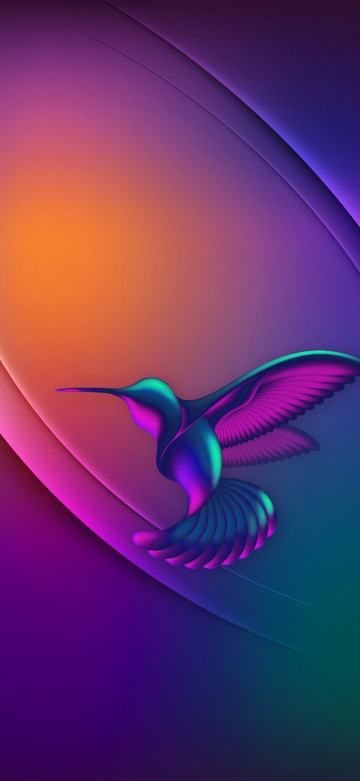 720x1560  Пин от пользователя γιαννης καλαμβοκης на доске Οι αποθηκεύσεις μου |  Картинки, Обои, Колибри