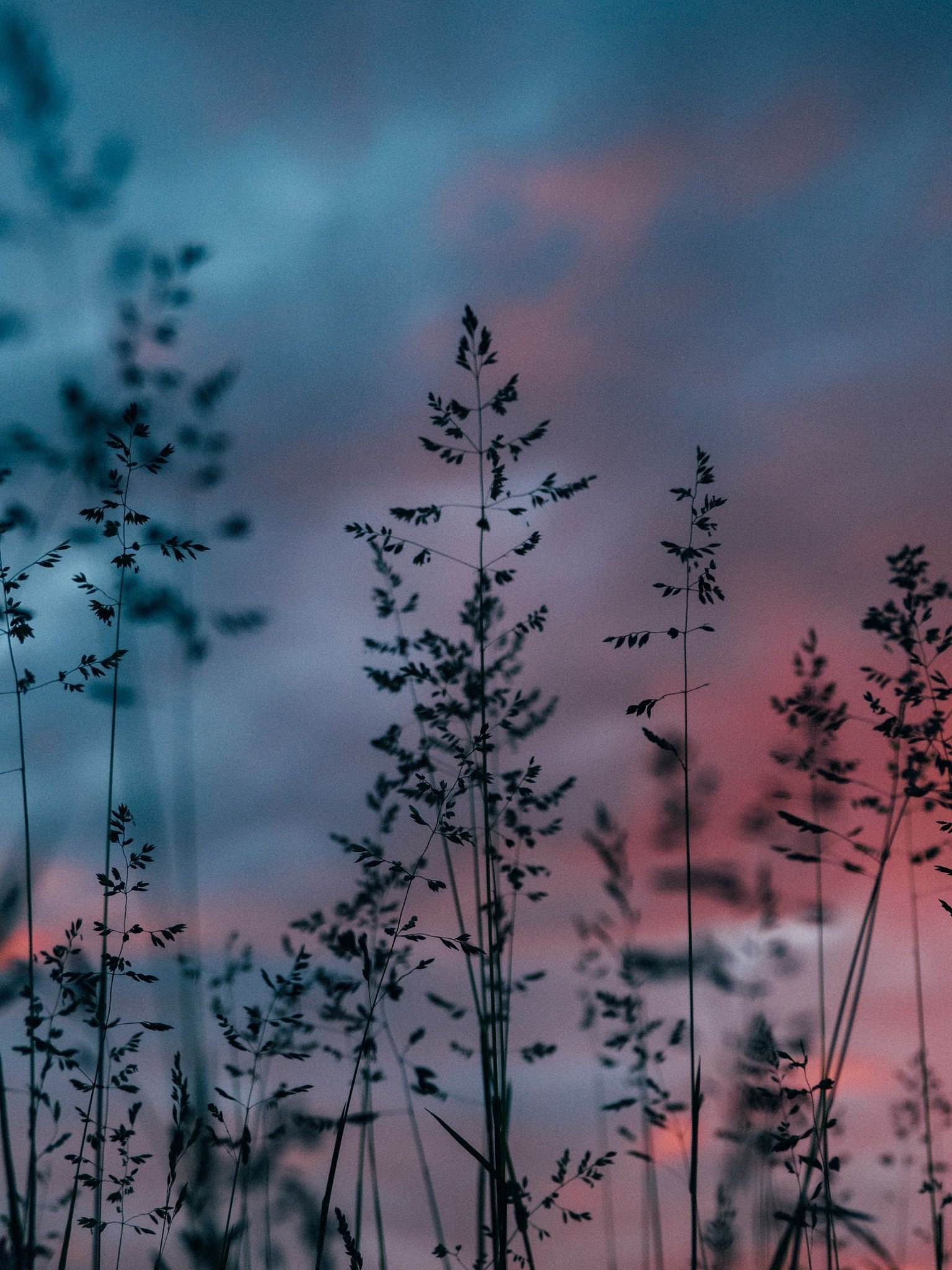 1536x2048  Эстетика вертикальные - фото и картинки abrakadabra.fun