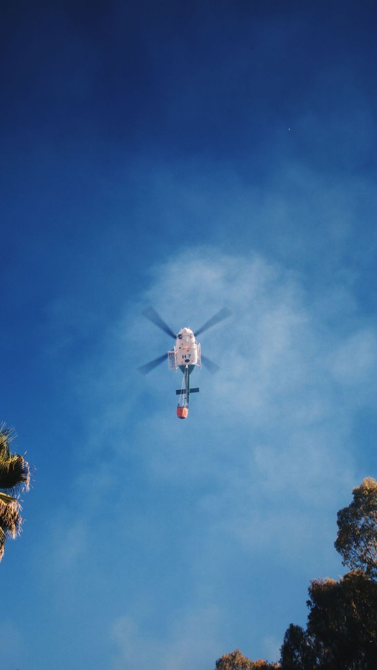 736x1308  Обои для iphone 11 эстетика обои для телефона сердечко оранжевые обои  эстетика обои для телеф… | Dark phone wallpapers, Iphone wallpaper,  Wallpaper iphone christmas