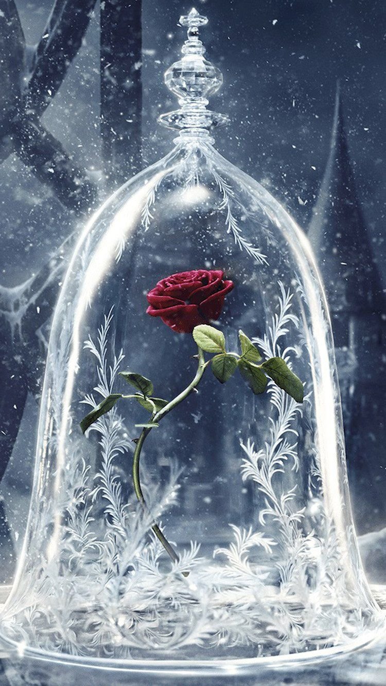 750x1334  Волшебные заставки на телефон - 71 фото