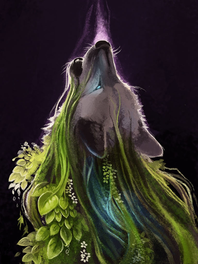 768x1024  Крутые обои с бабочками на телефон (44 фото) » Фоны и обои для рабочего  стола. Картинки для заставки на телефон