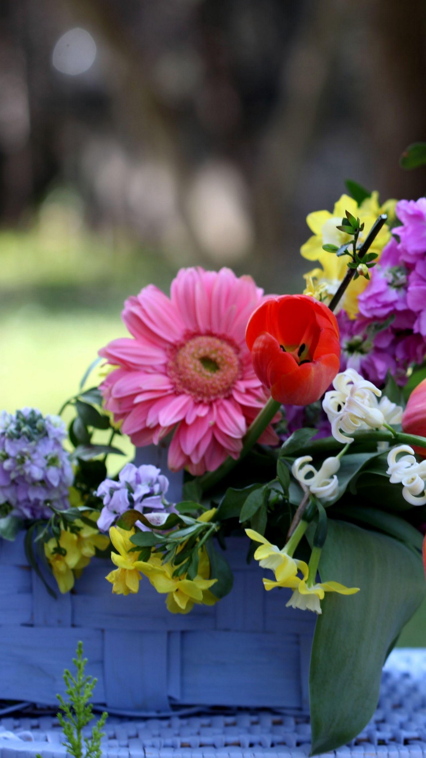 1440x2560  Обои на телефон тюльпаны, герберы, левкой, корзина, композиция - скачать  бесплатно в высоком качестве из категории \"Цветы\"