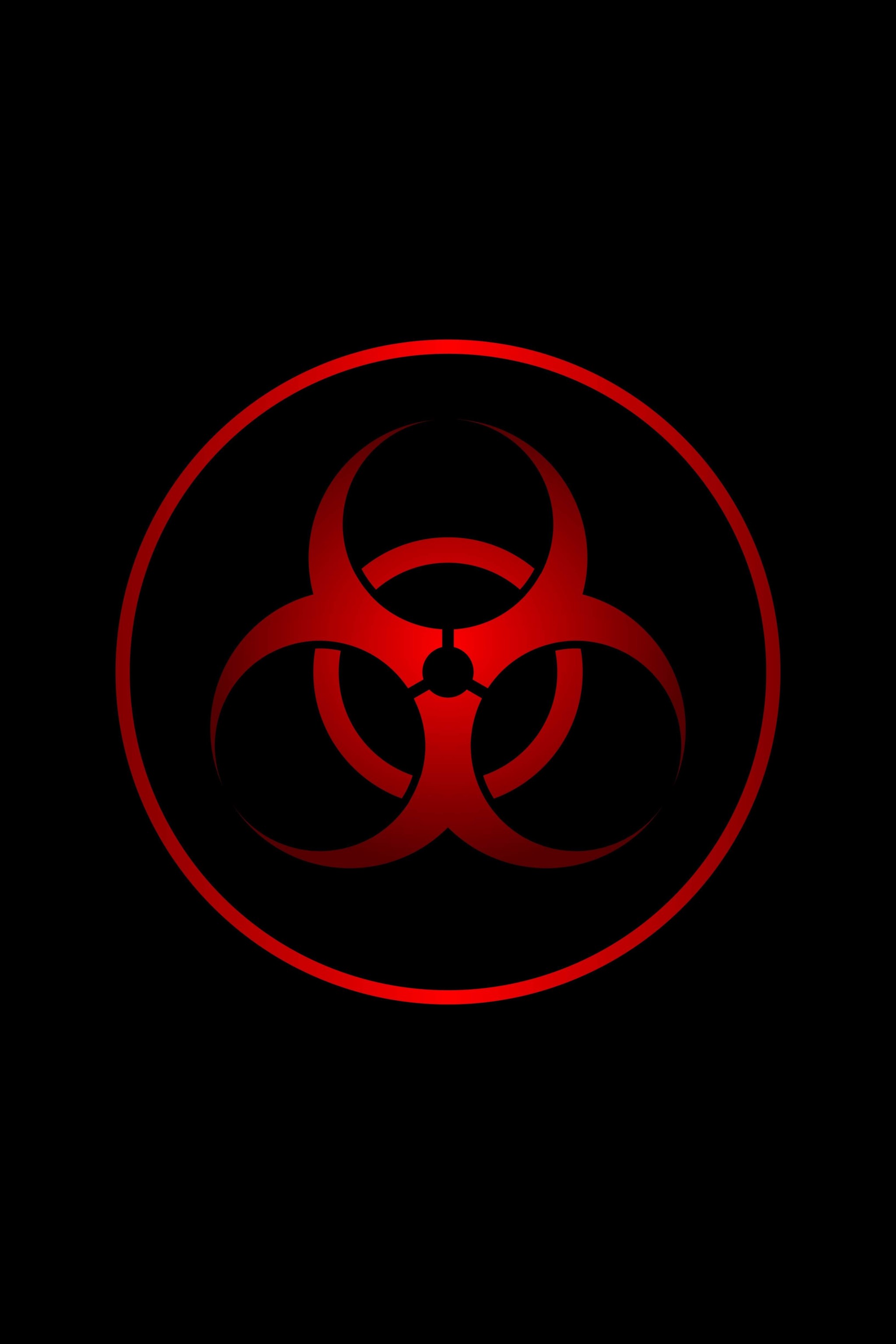 2048x3072  Наступила зима: тематическая подборка обоев для ваших смартфонов