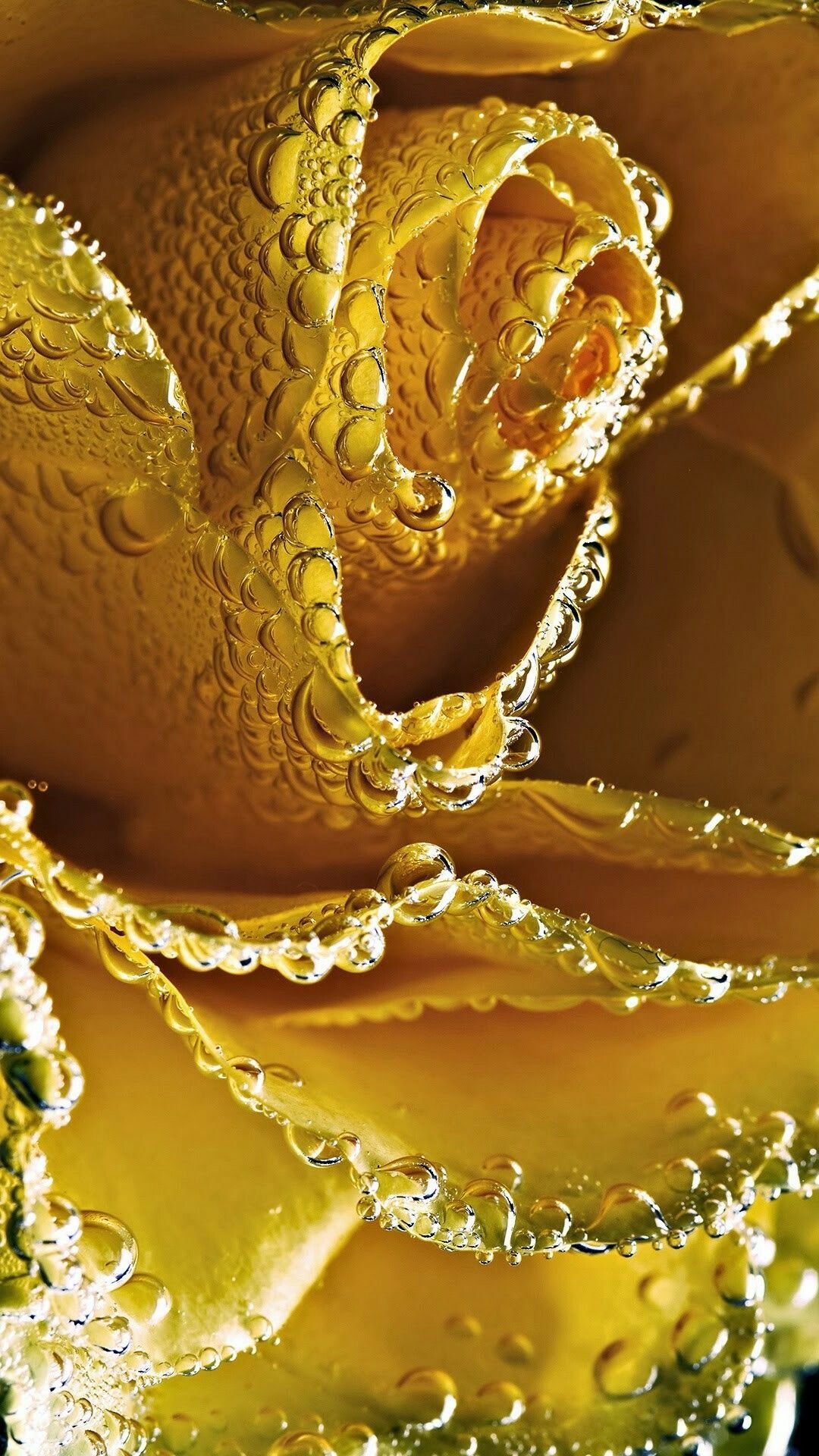 1080x1920  Лучшие обои для смартфона вертикальные - 68 фото