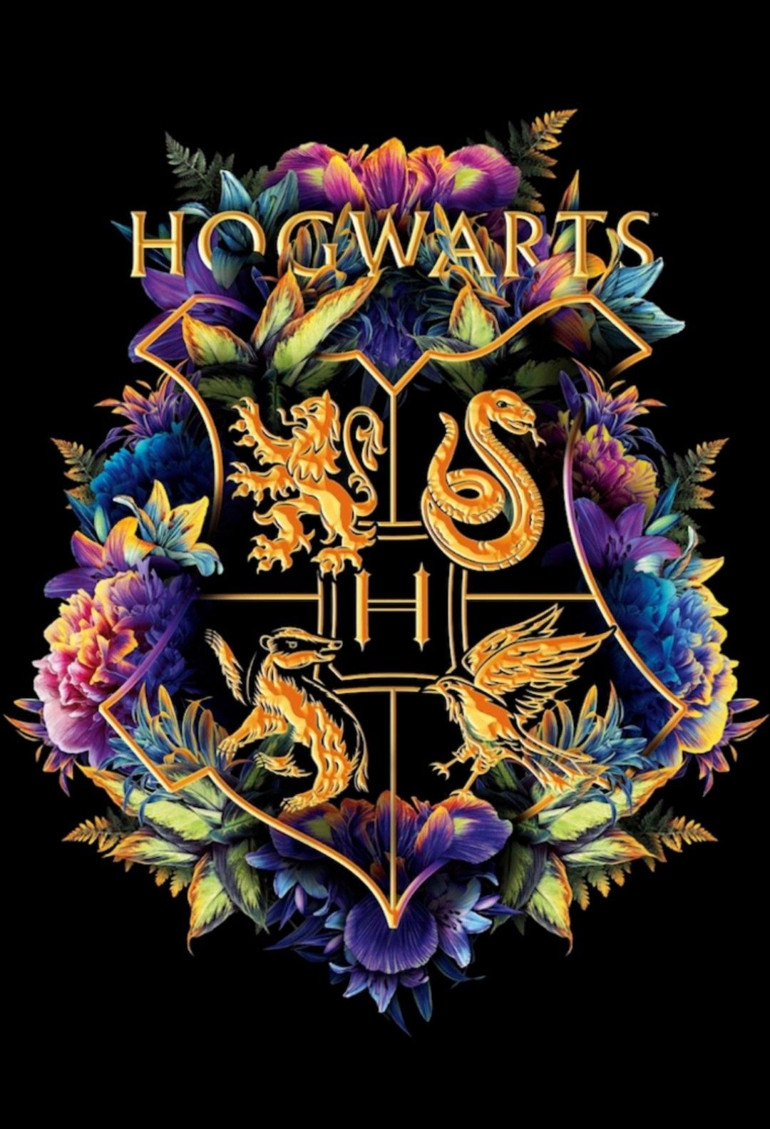 1080x1584  Гарри Поттер | Harry potter wallpaper, Harry potter background, Hogwarts