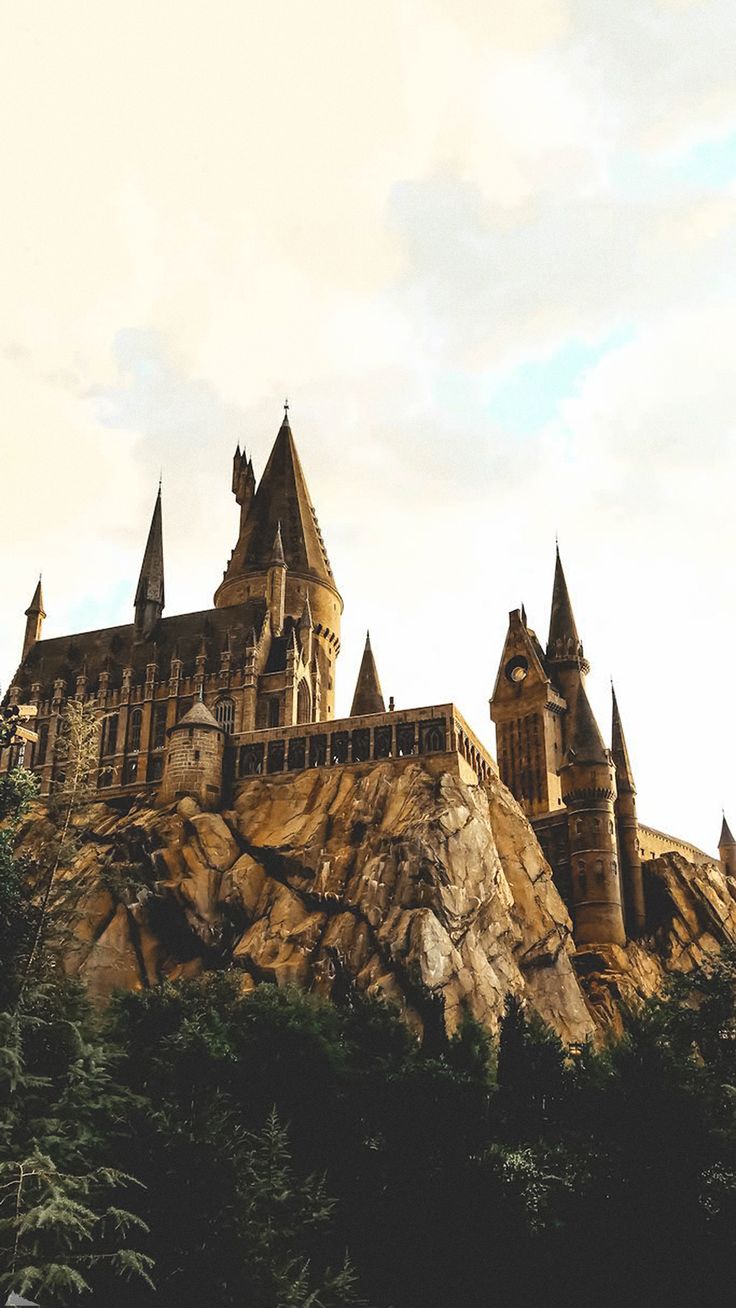 736x1308  Скачать обои \"Гриффиндор\" на телефон в высоком качестве, вертикальные  картинки \"Гриффиндор\" бесплатно