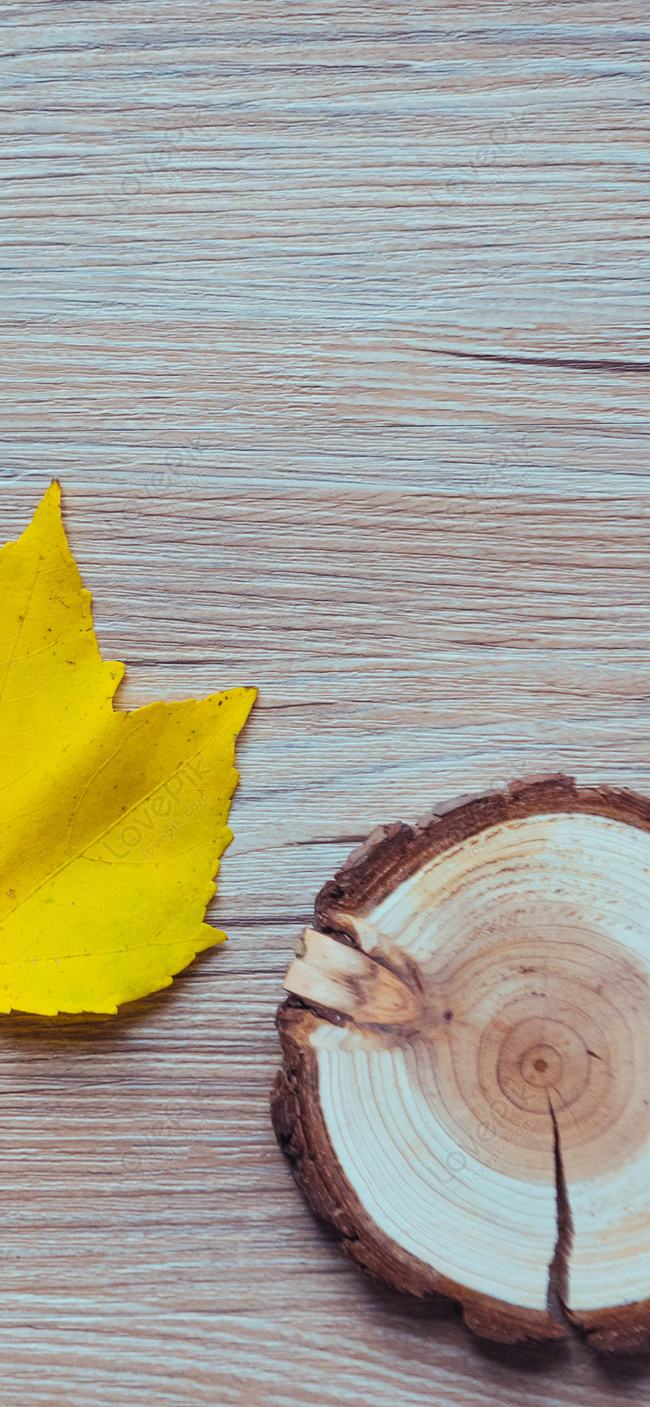 650x1407  Дерево зерна осень мобильный телефон обои изображение_Фото номер  400623798_JPG Формат изображения_ru.lovepik.com