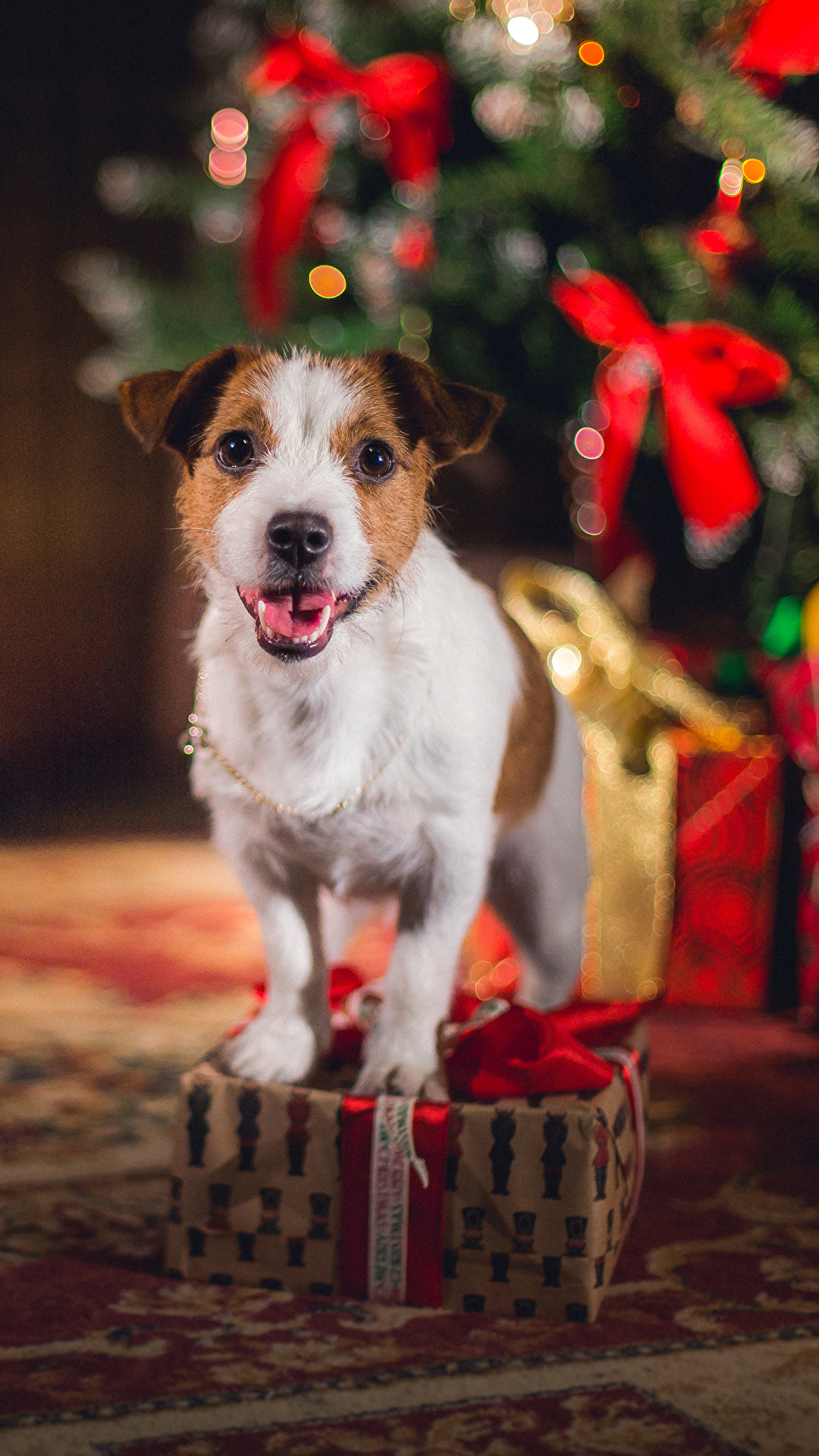 1080x1920  Image Jack Russell terrier Dogs Christmas Gifts animal 1080x1920