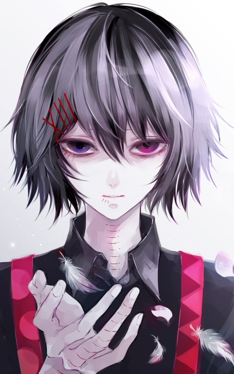 800x1280  Обои на телефон: Аниме, Гетерохромия, Седые Волосы, Токийский Гуль:  Перерождение, Токийский Гуль, Джузо Сузуя, 1405701 скачать картинку  бесплатно.